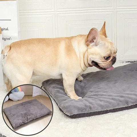 Coussin pour chien douillet