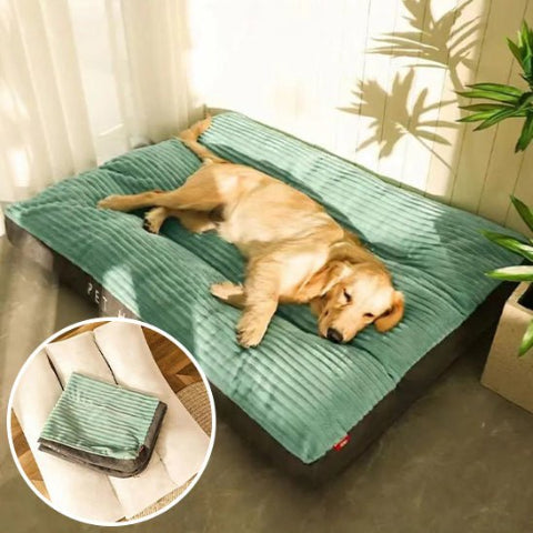 Coussin pour chien entretien facile