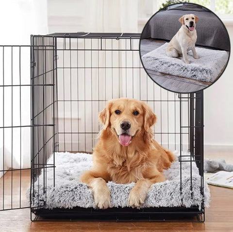 Coussin pour chien épais