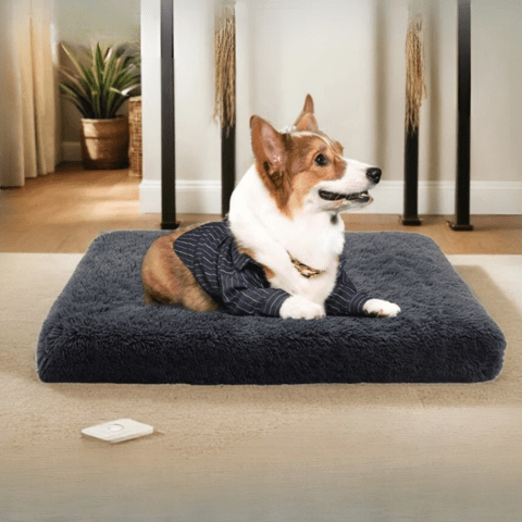 Coussin pour chien gris foncé