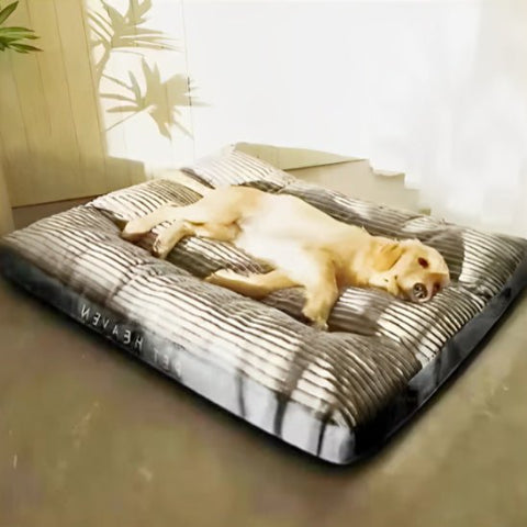 Coussin pour chien gris rayé