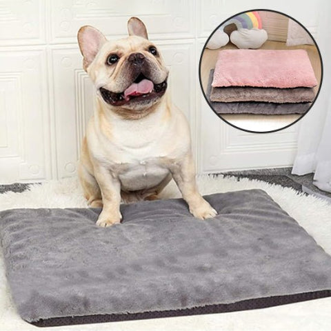 coussin pour chien gris