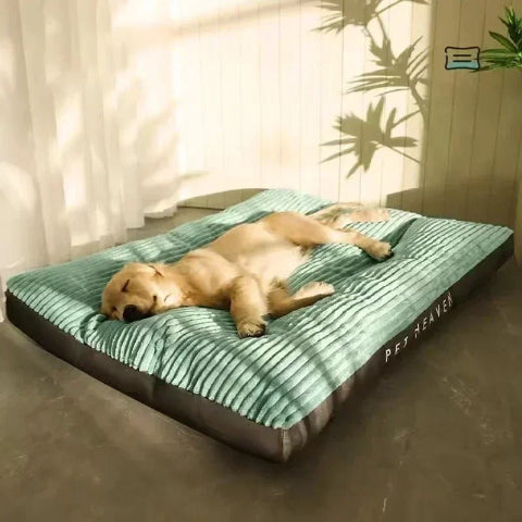 Coussin pour chien mémoire de forme