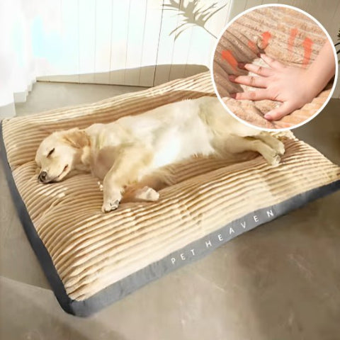 Coussin pour chien soulage articulations