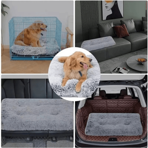Coussin pour chien transportable