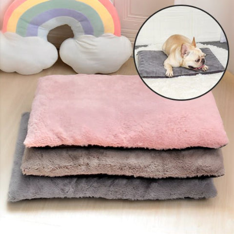 coussin pour chien trois couleur