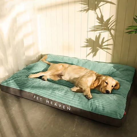 Coussin pour chien vert