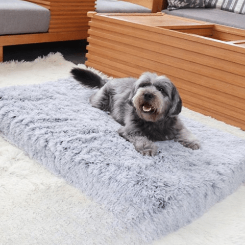 Coussin pour chien taille m