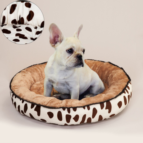 lit chien cosy