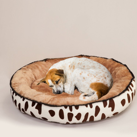 chien qui dort dans son lit chien