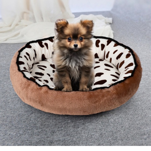 lit chien rond