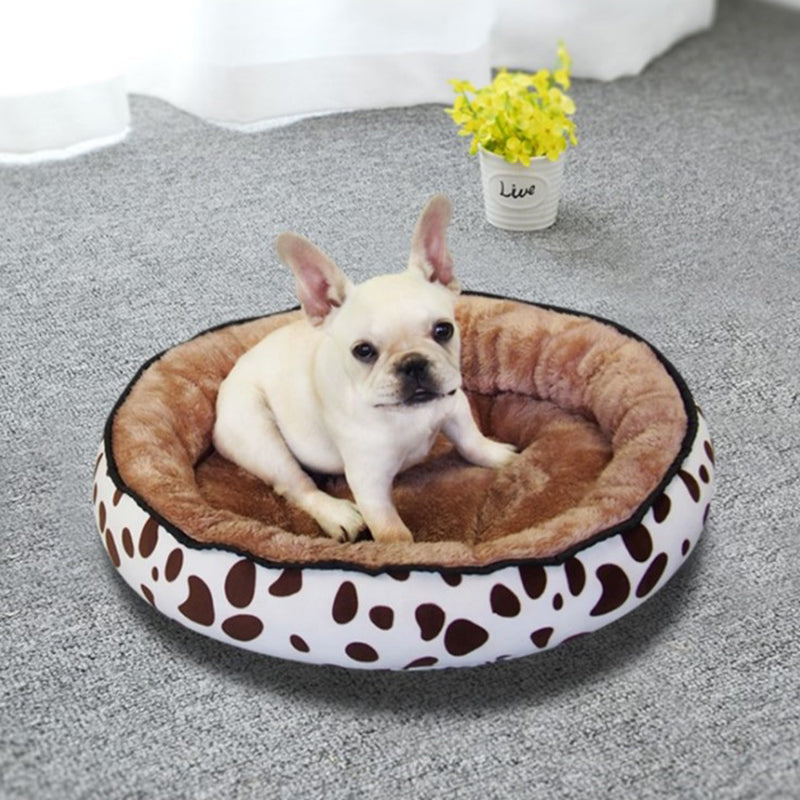 lit chien tout doux