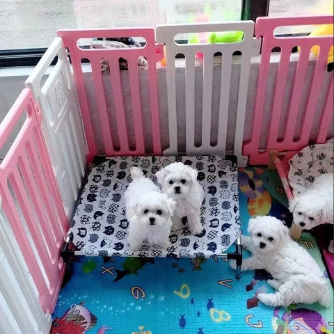 lit de camp pour chien chiot blanc