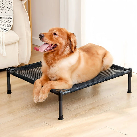 Lit de camp pour chien | Seby - Confort du chien