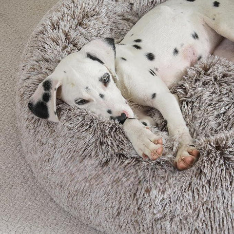 Lit pour Chien - FluffyDogBed™ avec rebords