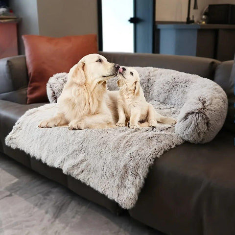 lit pour chien moelleux doux