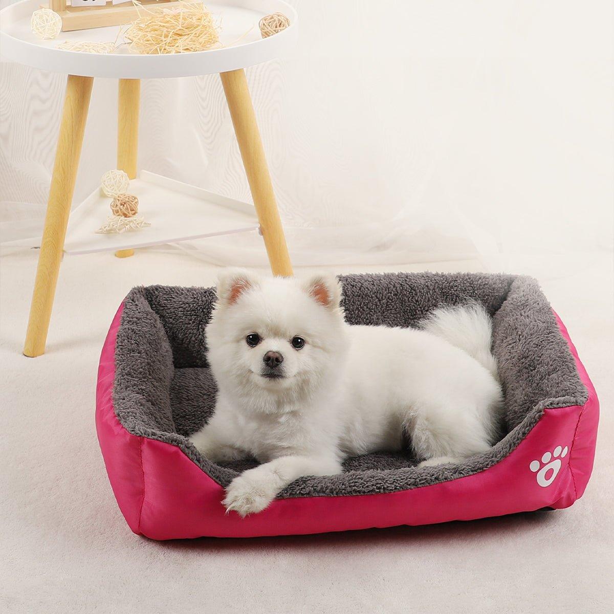 lit pour chien | rectangle couleur - Confort du chien