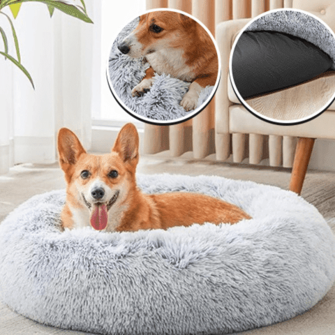 lit pour chien rond antidérapant