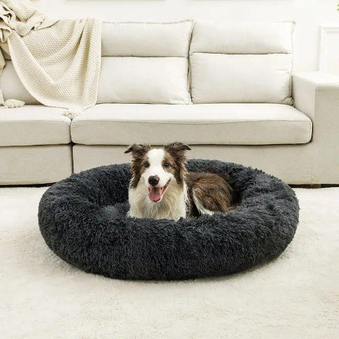 lit pour chie rond gris