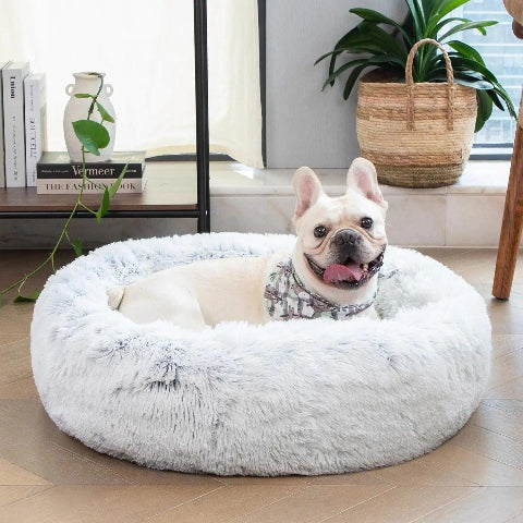 lit pour chien rond gris clair