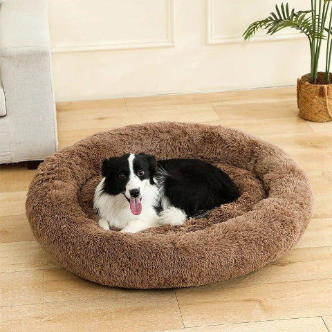 lit pour chien rond marron