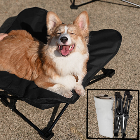 lit sureleve chien portatif