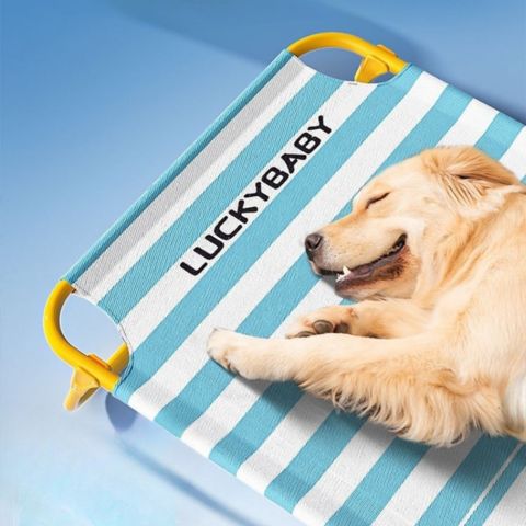 lit sureleve pour chien au repos