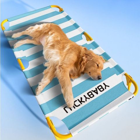 lit surélevé pour chien démonstration