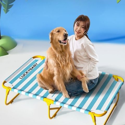 lit sureleve pour chien résistant