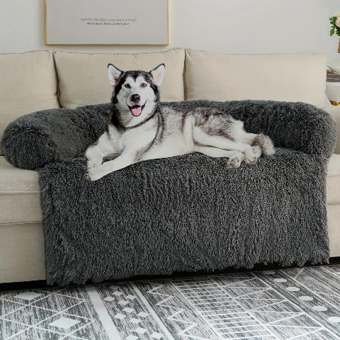 lit pour chien gris douillet