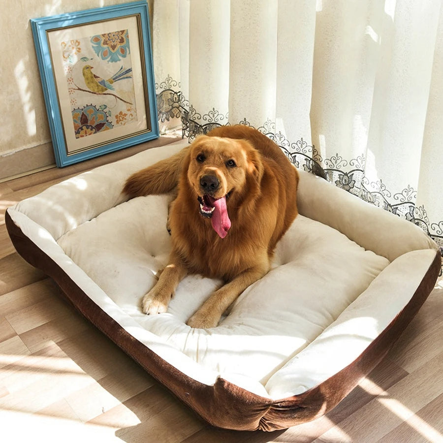 lit pour chien grand chien marron