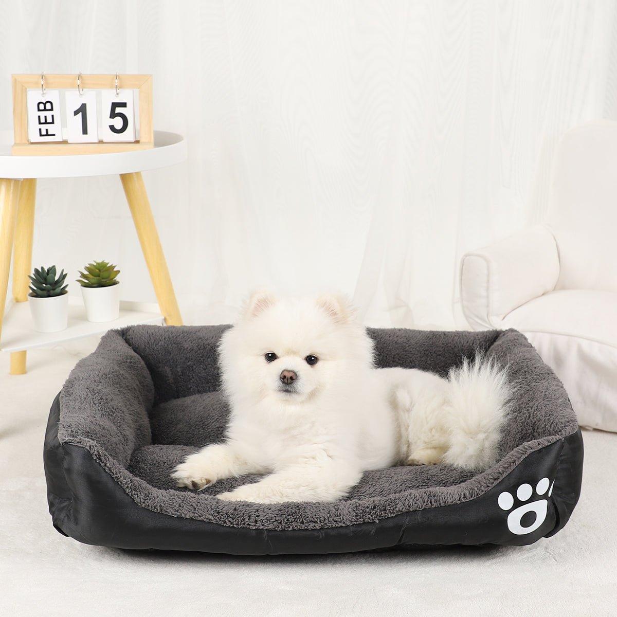 lit pour chien | rectangle couleur - Confort du chien