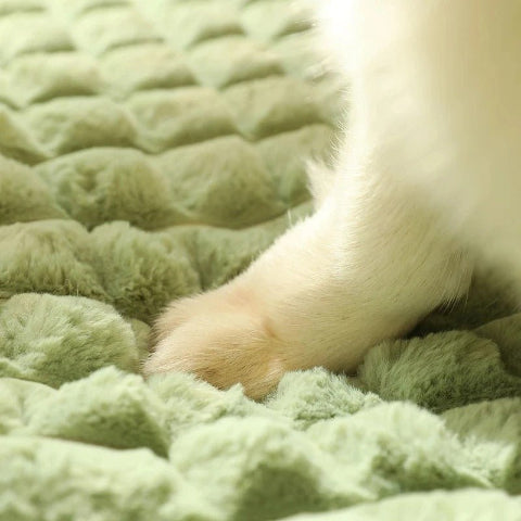Matelas pour chien maya moelleux