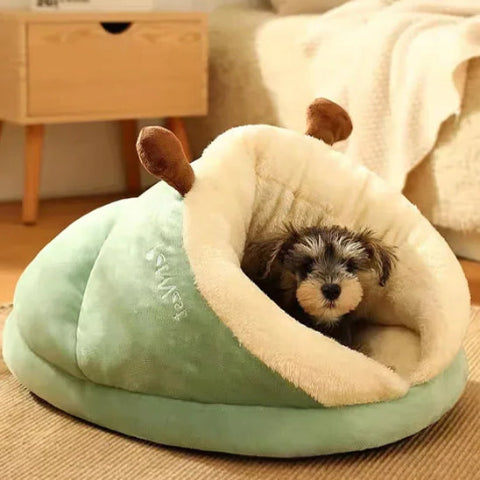 niche chien intérieur petite race