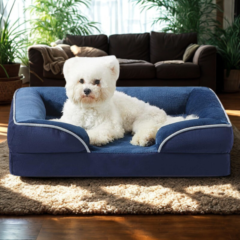 panier chien bleu