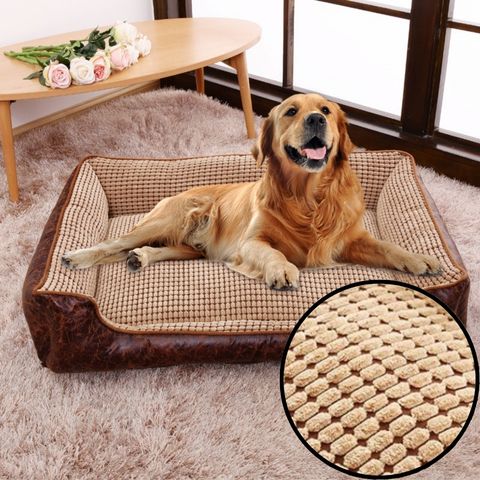 panier chien cachemire de maĂŻs