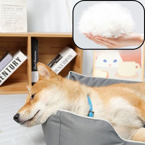 panier chien coton