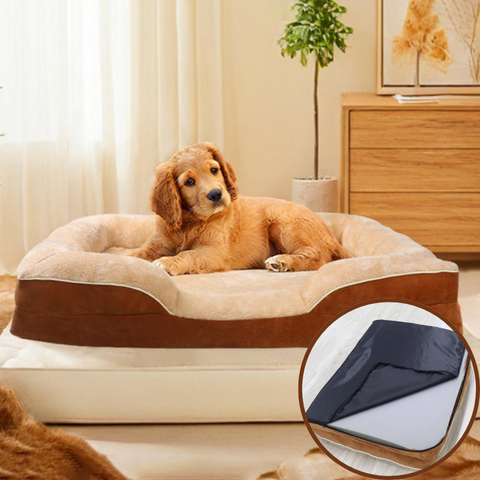 panier chien déhoussable