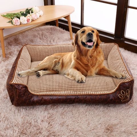 panier chien grande taille