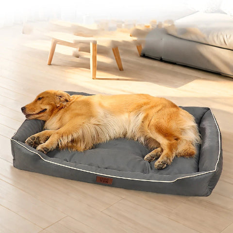 panier chien grande taille
