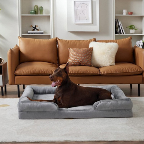 panier chien gris