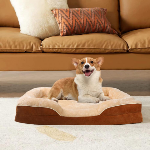 panier chien marron