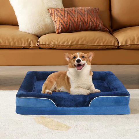 panier chien moelleux