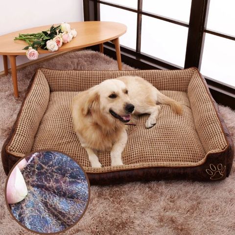 panier chien résistant