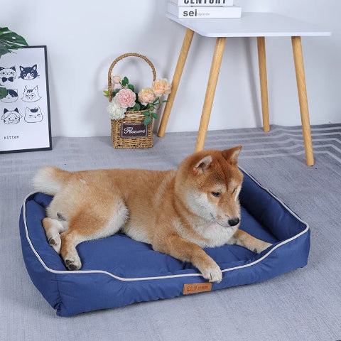 panier chien soulage articulation