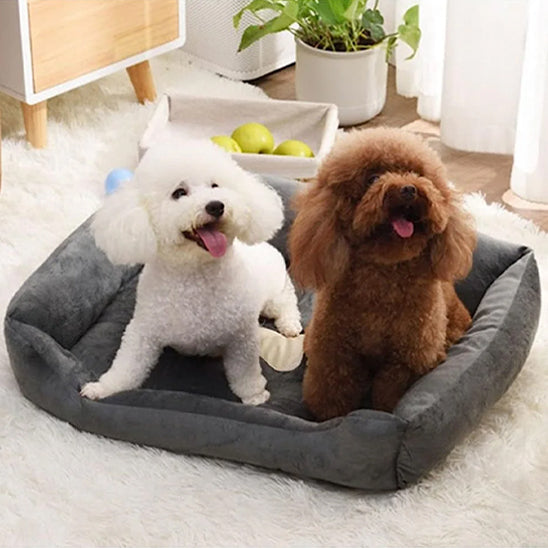 Panier chien | Moelleux - Confort du chien