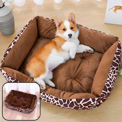lit pour chien | rectangle