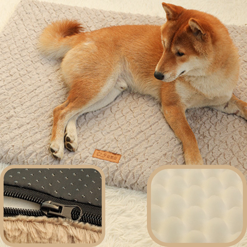 tapis chien déhoussable
