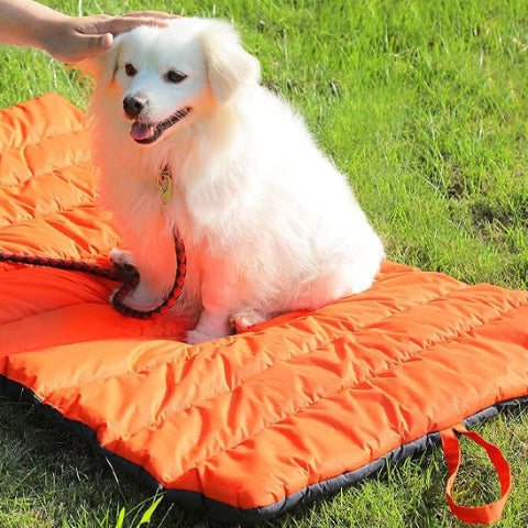 tapis chien doux