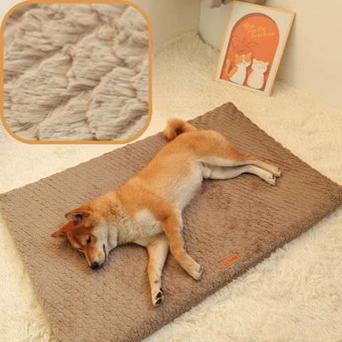 tapis chien doux